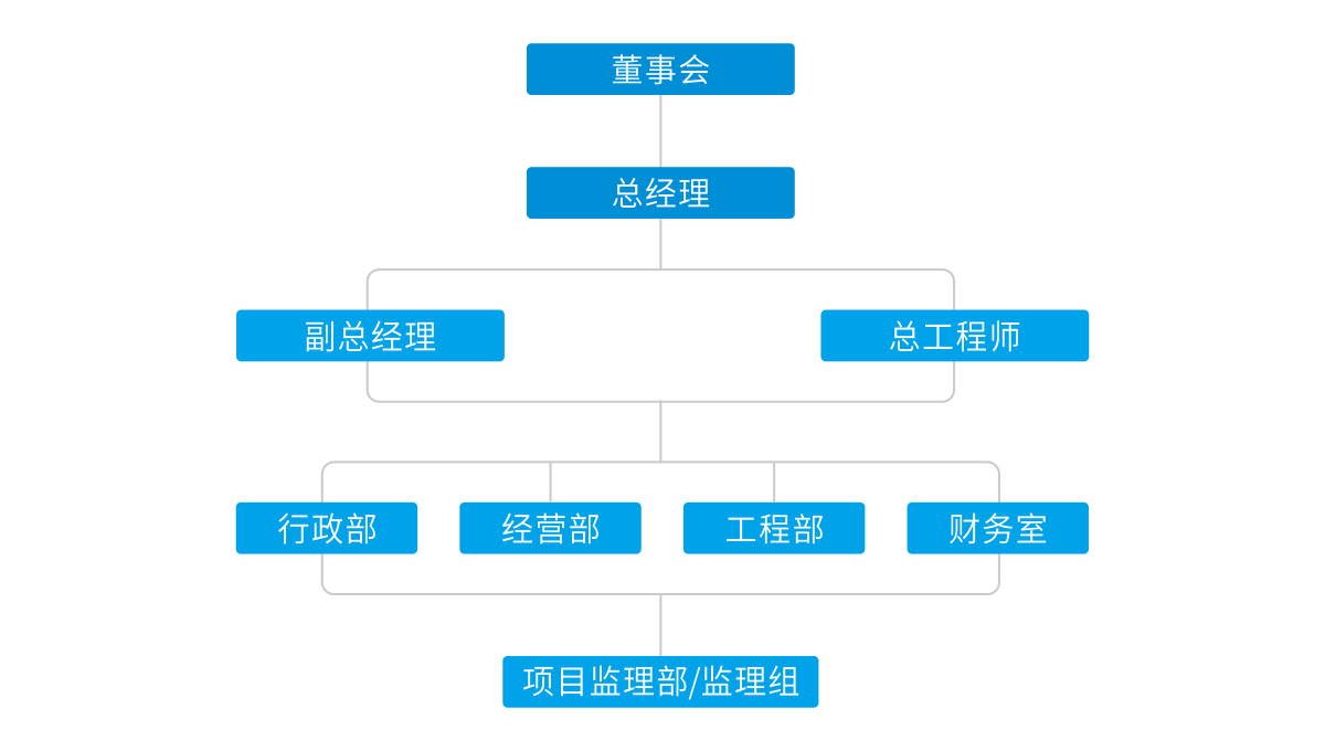 四川國(guó)際工程監(jiān)理有限公司組織架構(gòu)